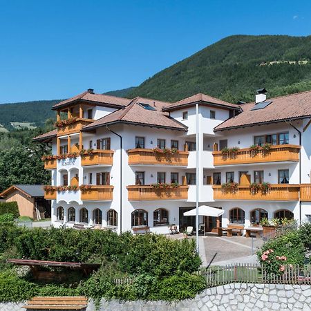 Apartment Lodge Gasserhof بريسّانوني المظهر الخارجي الصورة